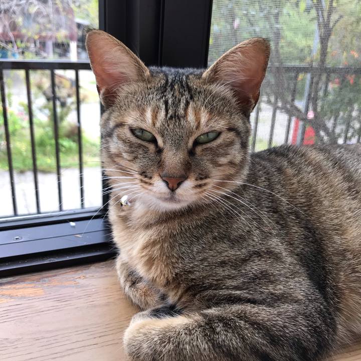 C55dbcf1 abfc 49e5 9a2f 43f2bd3aff54 1587691338670