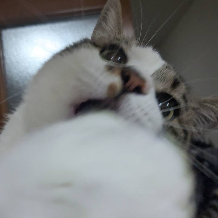 C55dc18c 269d 4fb9 8268 cbaa181f84f6 1747573289045