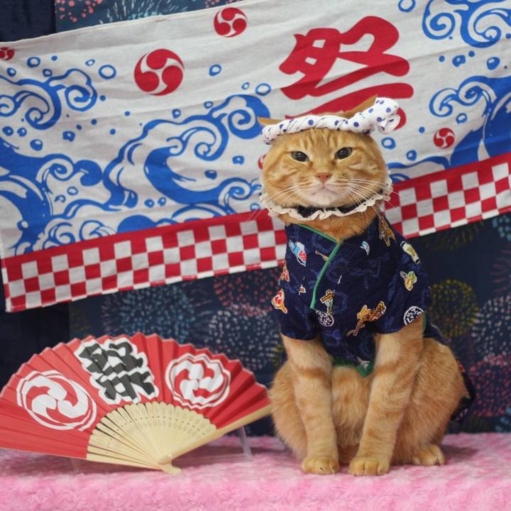 C55dcf31 2206 4f0f bb66 65975d4bfc87 1625175460878