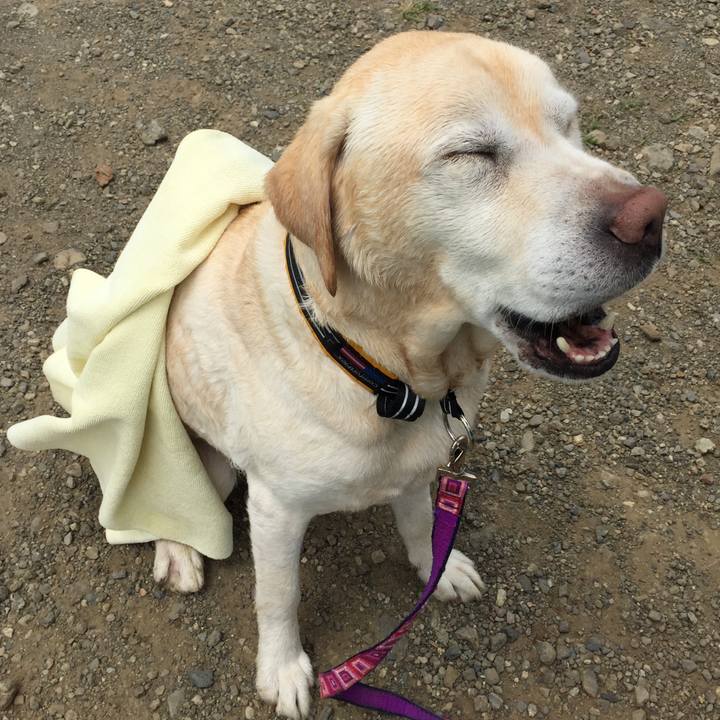 C55dd4d5 dcb2 480c a08a 3c5296b99427 1527583075437