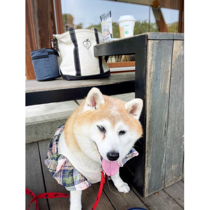 C55de9e8 e18e 4df4 a9f8 6bf9907307f4 1630127023906