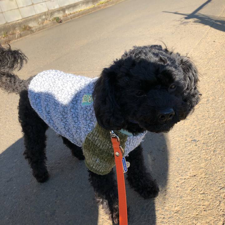 C55e04a5 463e 45c6 8f40 03f7d9182a26 1548124314046