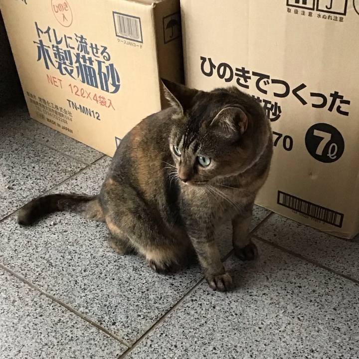 C55e05ea d9ac 435f a89d 97f9db3df9b0 1696079304674