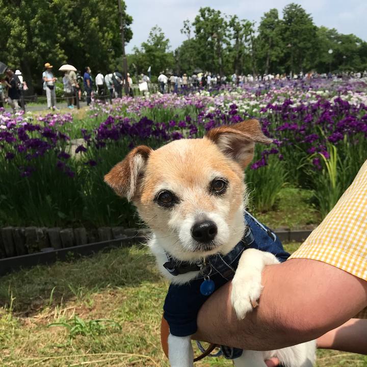 C55e9fe8 b877 42a5 b910 4d34cf5c99db 1654408808695