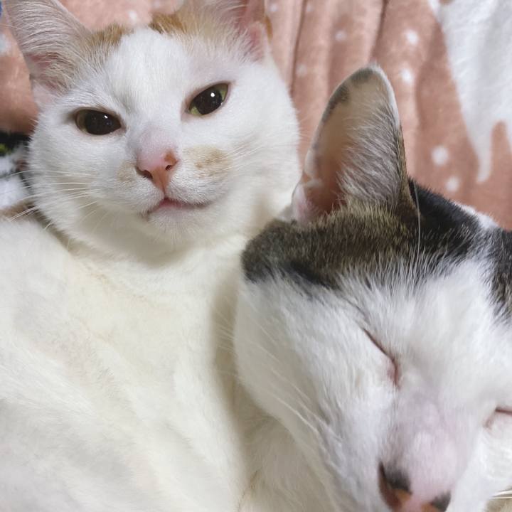 C55edd9e c5c4 4c78 9090 f802b29862e1 1616932251490