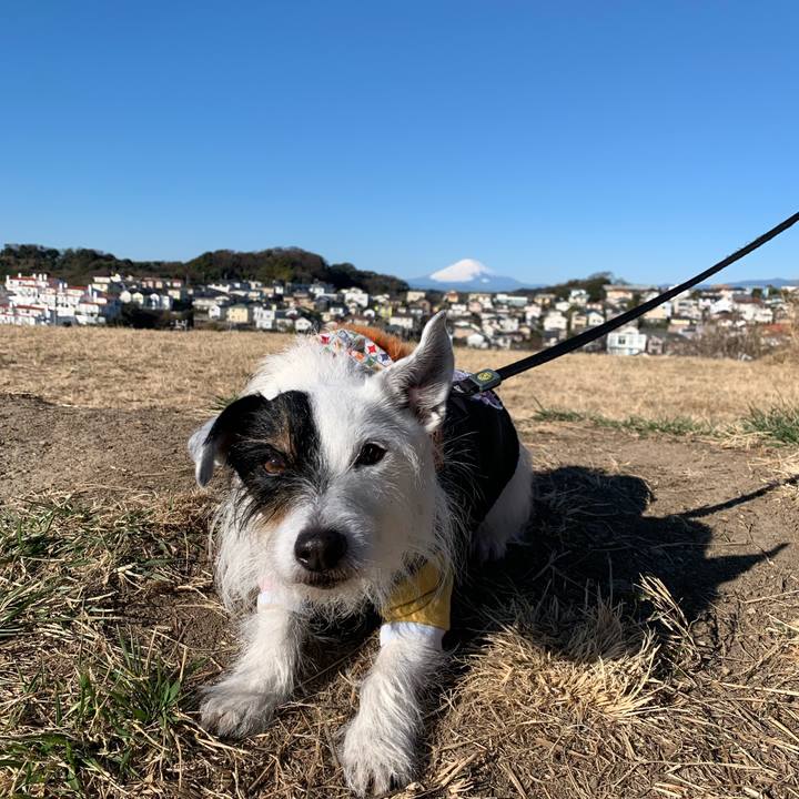 C55f18d6 b08f 49bc 9a5f ccf0c113eac8 1706231723762