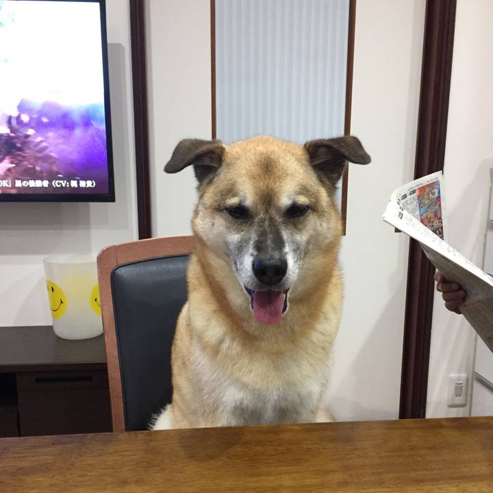 C55f246e 7548 482e 9827 18140e234036 1563699941289