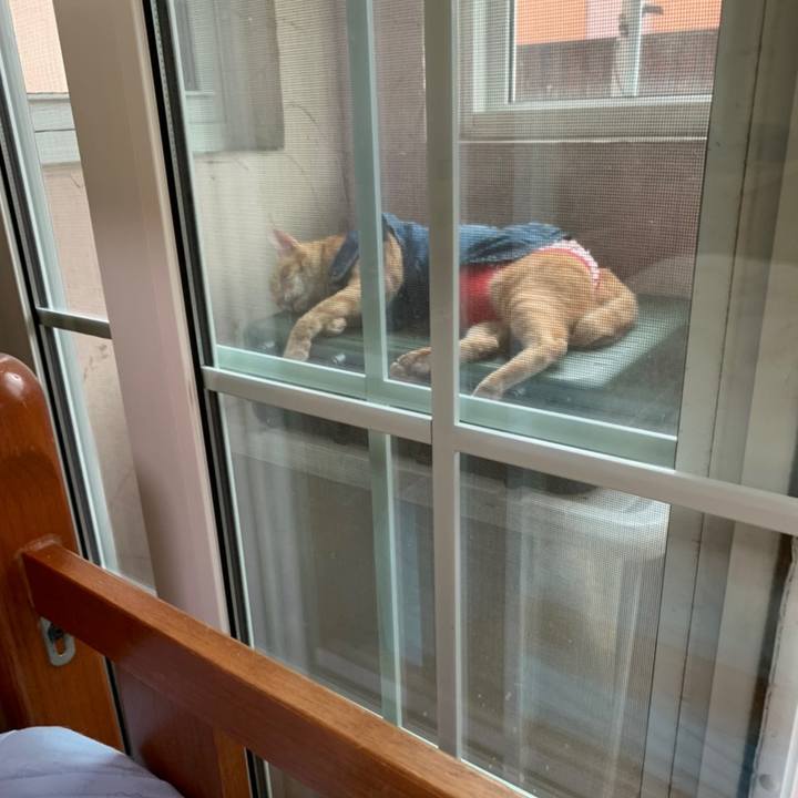 C55f352c b572 4b67 86a7 184aa3a6c396 1623662341375