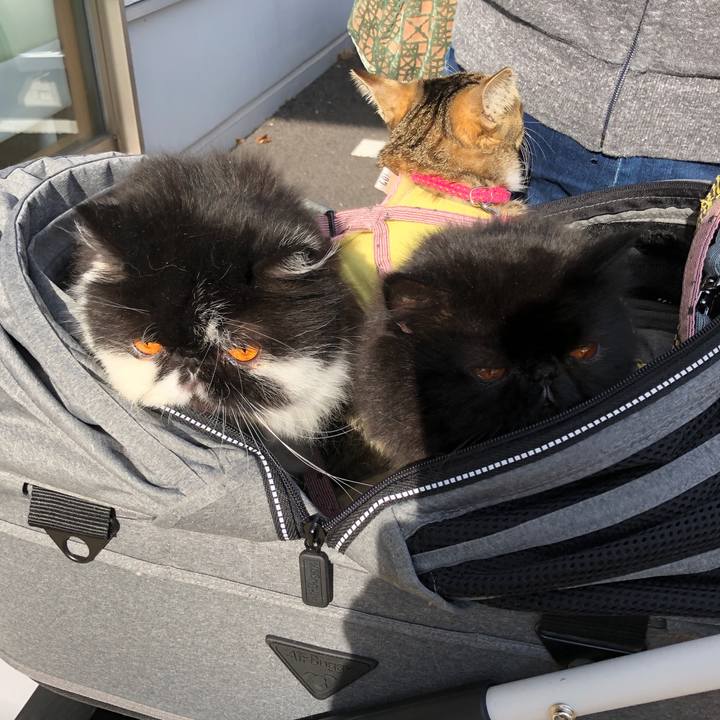 C55fc109 149b 49c9 abe0 4ff82223e858 1576376906677