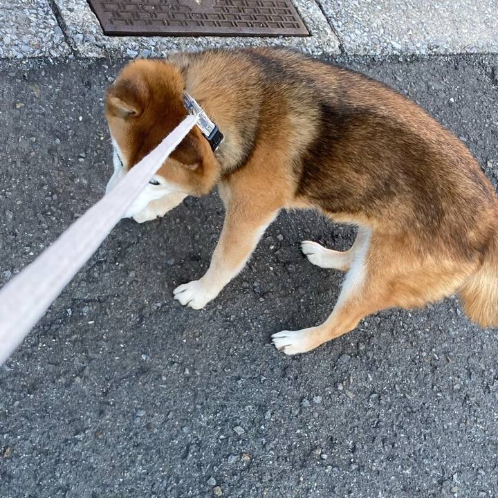 C55ffda0 295f 4e28 b748 7b1d6b771621 1739521923791