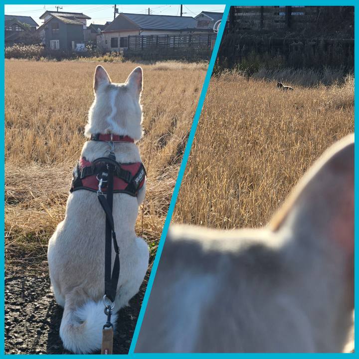 C5600b3f 8194 4ffe a448 81db4a2ee9a4 1766395540572