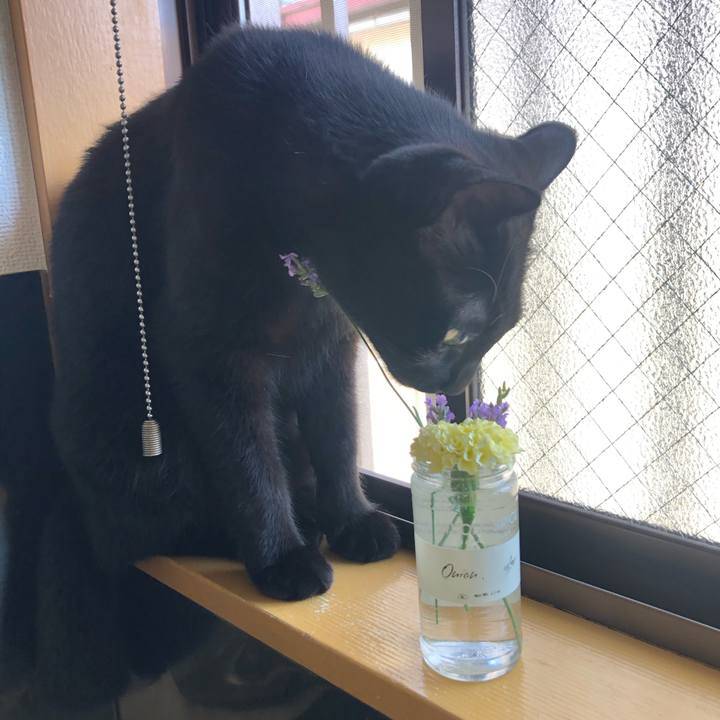 C5601125 38c0 4e02 8222 297beabb56cd 1593649852277