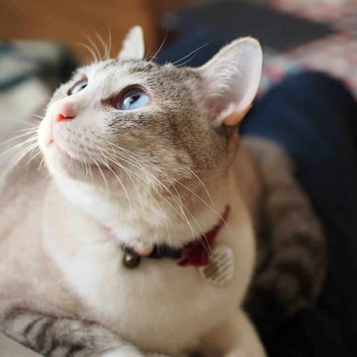 C5601773 8f44 4118 8099 63d387d1c28e 1580519572084