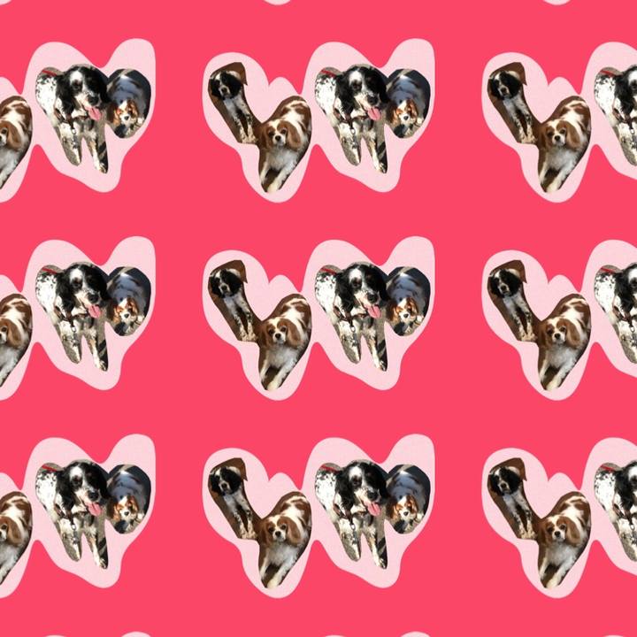 C5602960 1256 41a3 84bf 8b7534acf62b 1532543388811