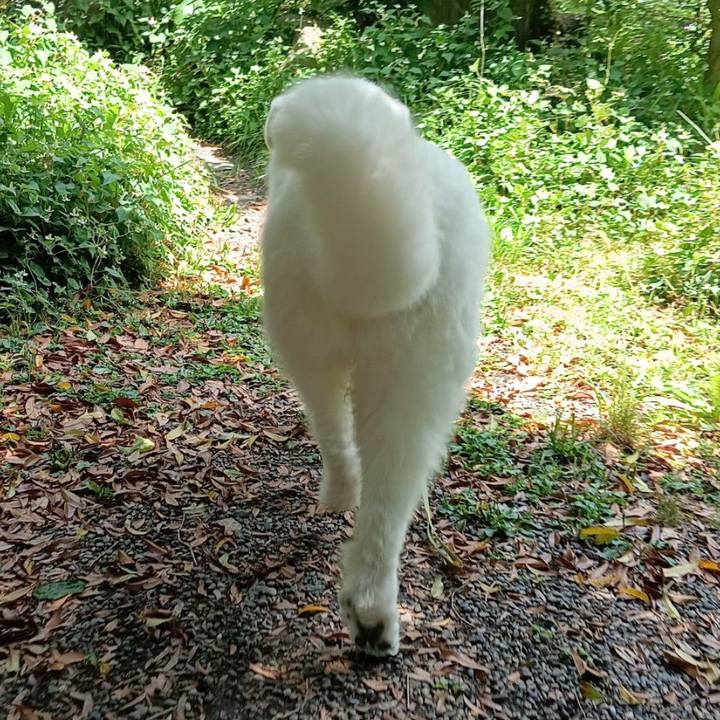 C5603dfb 368f 4d0a b8e5 134885020114 1717066455430