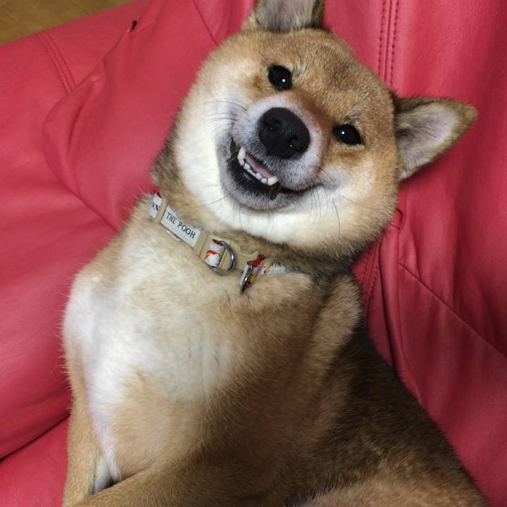 C5605719 1f22 47b7 aaf8 9d21d39eb441 1546690164702