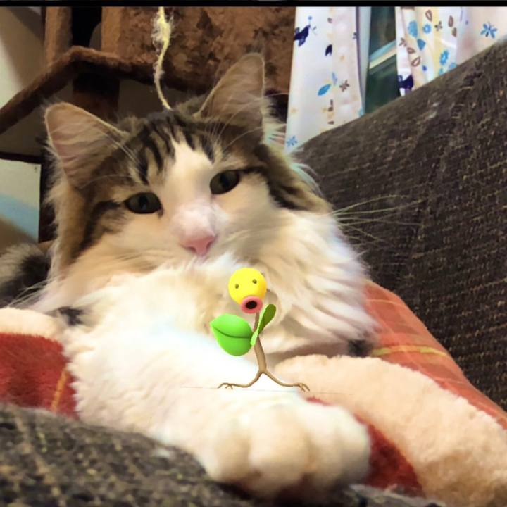 C560839a 68af 4034 aaf3 0ca41f6b783d 1553785100593