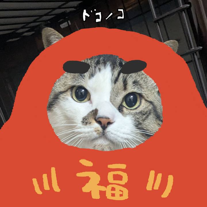 C5608524 38de 4a28 a3f2 68f73743b338 1771881933971