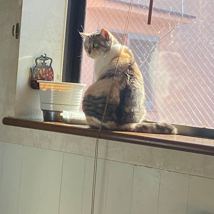 C56122b6 3c23 4e7e b39b 89de43c07337 1579488545952