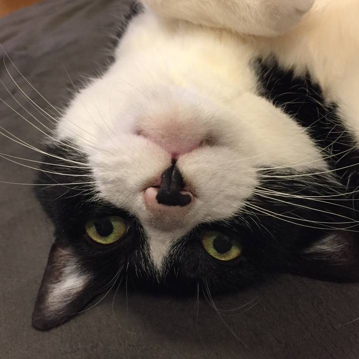 C5614f05 95cf 41a3 9aa7 d12bc06744b4 1528719399707