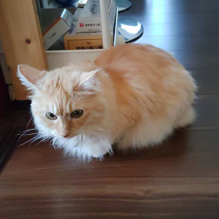 C5616be6 ef62 4cd1 ba96 737bf50f9370 1723337826430