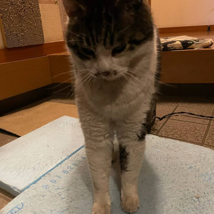 C5616f43 1d74 4b87 9da6 aba69c3a49c3 1614831649819