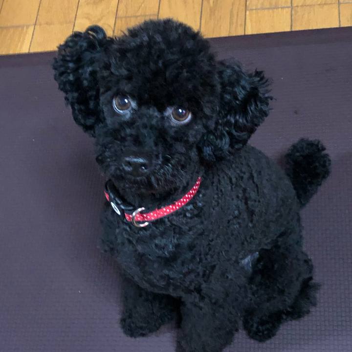 C5619caf 6597 4dfb 8e44 46f63db5347a 1562884274647