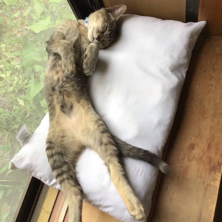 C561da0a 47de 4936 a9ab af39fba5d6a5 1573547593042