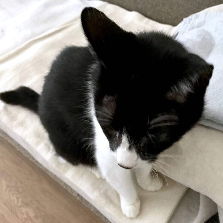 C56233f0 cc30 45d2 9d2d bdacb5123d91 1535005059701