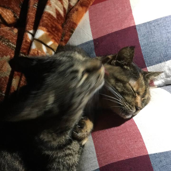 C562538b e4af 44c2 ad07 fea28fc829fd 1515313046984