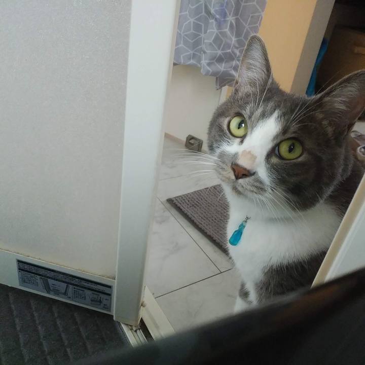 C562f275 8656 43e5 b594 6e0c386379ac 1626259977304