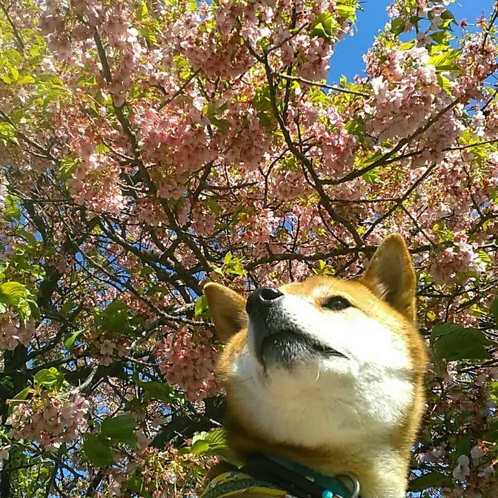 C562f5f5 eafa 4b82 b60d d8f2ffd62099 1552128206610