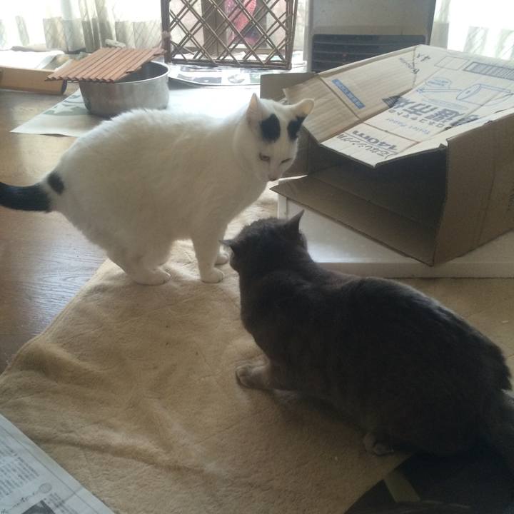 C5631285 5af0 4d4a b1ae bf48cd6b1326 1511609118752