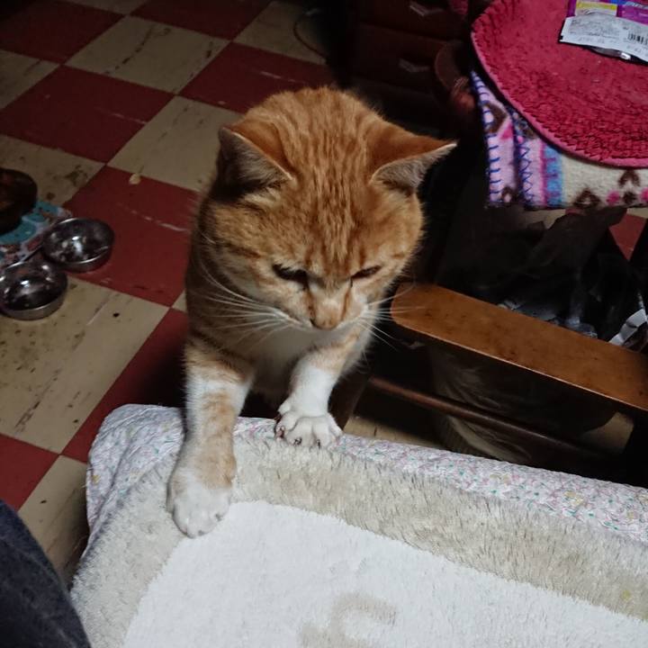 C563361f 7110 4f40 a2c2 149a6ceb6729 1581278238133