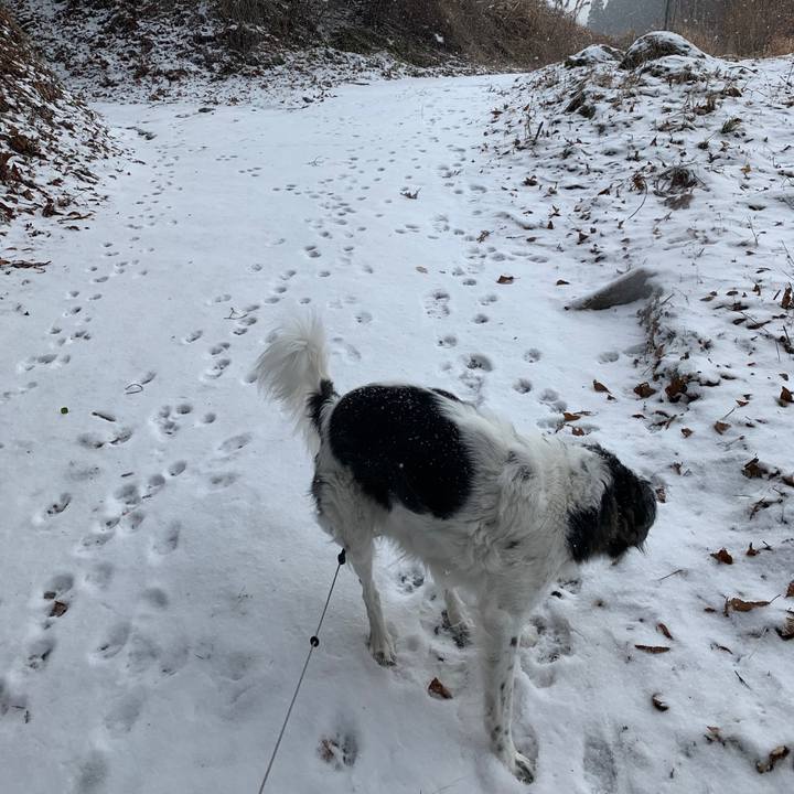 C5635820 6417 4da6 852c 01c8a0495c07 1610187169545