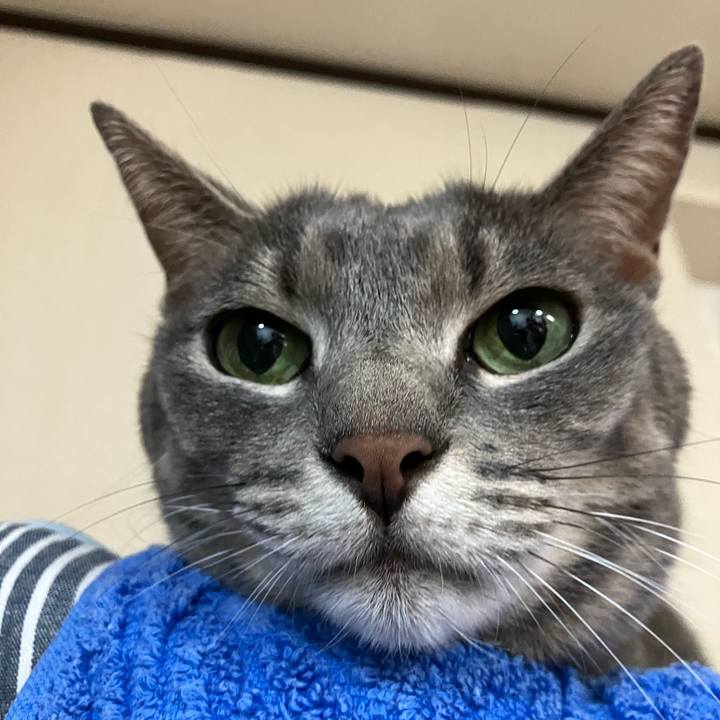 C5635b4d 1ee2 4faa 93de 221fcd53eaf8 1756389818647