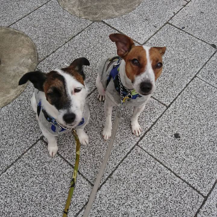 C563e5ed beb3 4b11 b9e9 5cdb43756319 1558138599156