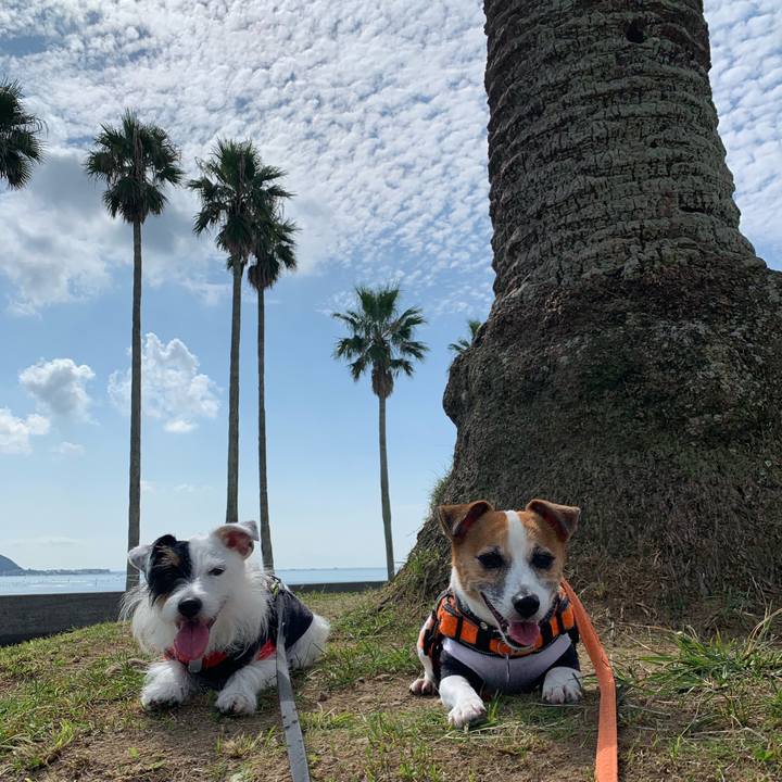 C563ffb2 e5be 4768 bdb8 9d4cf872b7eb 1601691499656