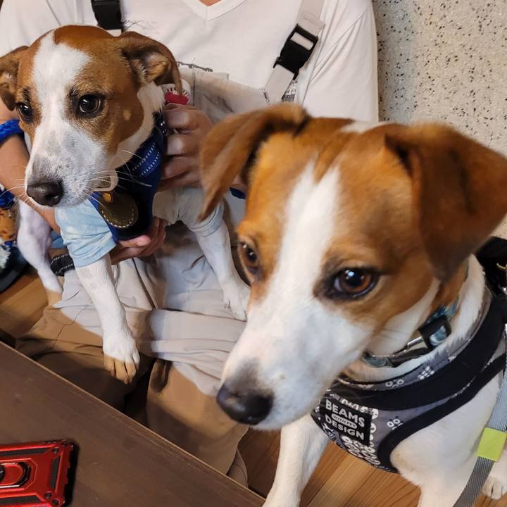 C5641a16 813c 4ccb bb31 c7f826bf5352 1715901711700