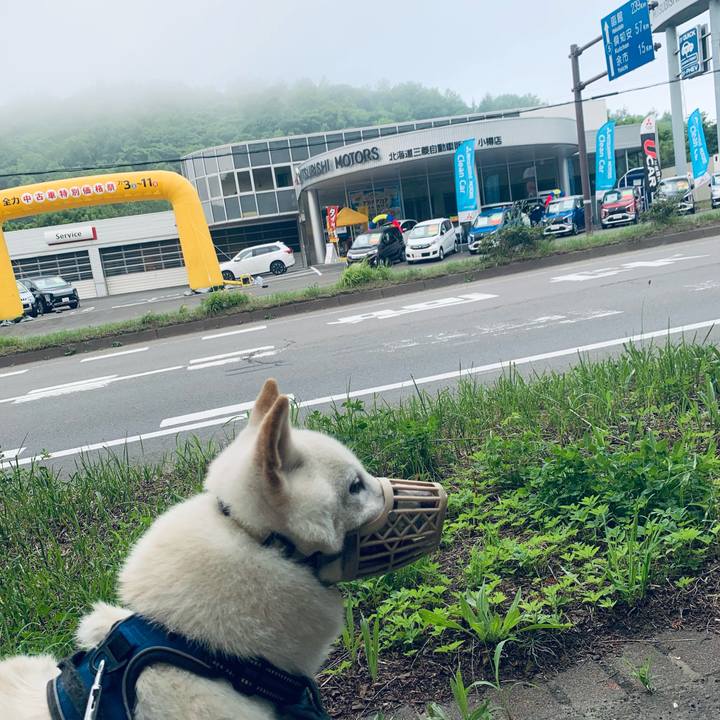 C5641dba 7f85 42b4 9bdc a76f0fc51110 1625348895587