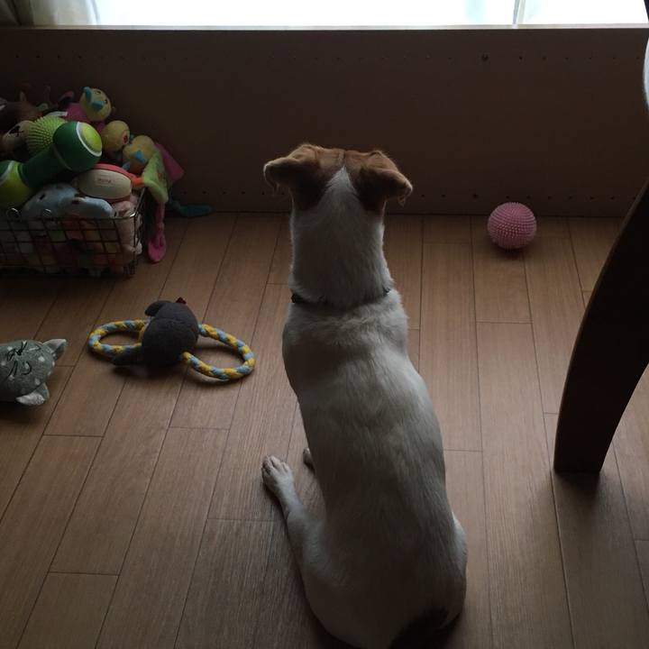 C5646461 426a 4604 8ca7 adef6d3f5755 1507793745275