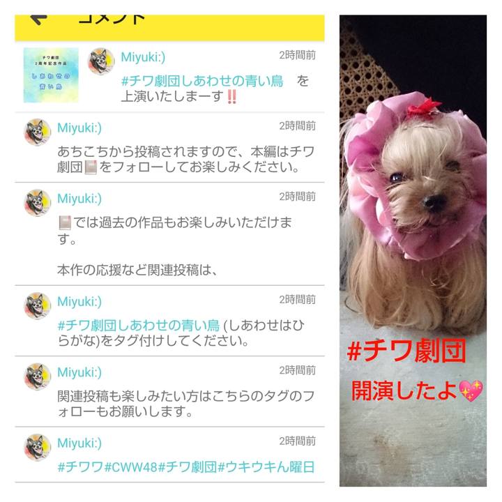 C5646c6d 692f 40e1 b266 e3487b9f5268 1654312339772