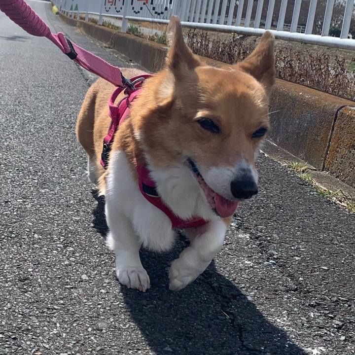 C564a0b0 114d 46be 95f1 409f3fe346e2 1708234974928