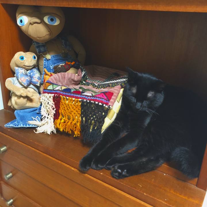 C564b434 4e22 49ac b9ad af343a21844e 1532765443873