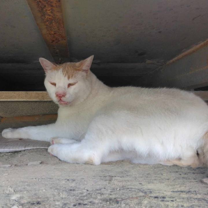 C564d63d c84b 4d57 b2a5 eebe50508476 1721808765275