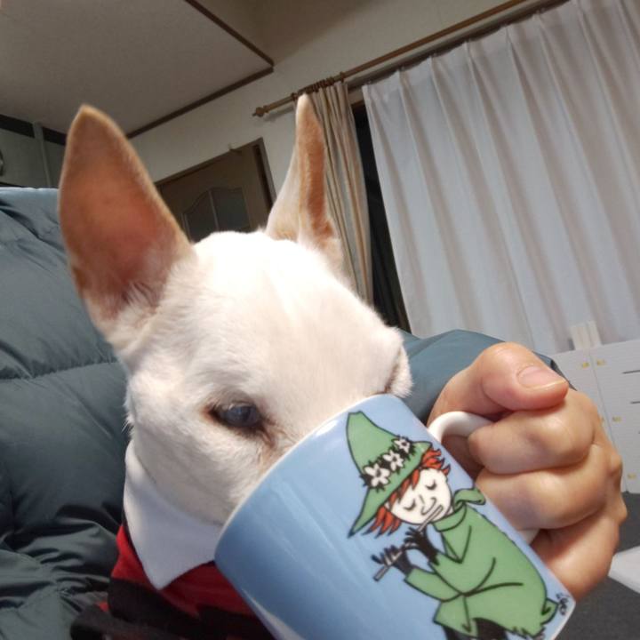 C564ef5b d3de 4c00 aead 385a8b0d7948 1579300699404