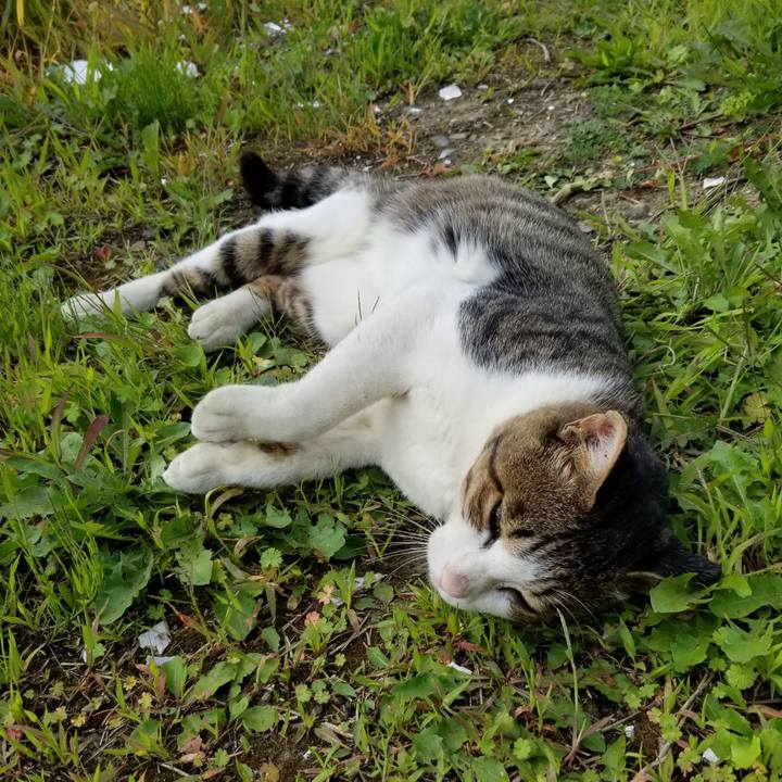 C564f975 f754 4331 94f3 85f628ffe3b7 1599228500351