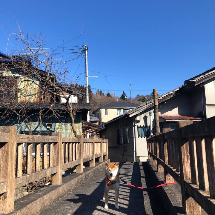 C564fcde 71fb 4e74 9e25 88a5b3c971c6 1552032310072