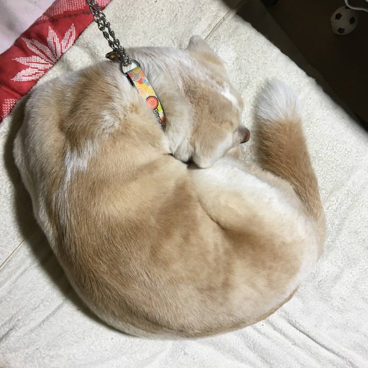 C5651b43 3555 476f bc55 37bb9fae1952 1508856738783