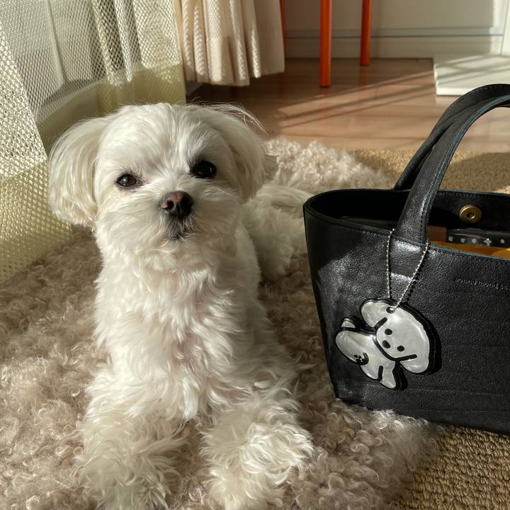 C56527f6 1ccc 4304 b010 a01d77b1201e 1773060048812